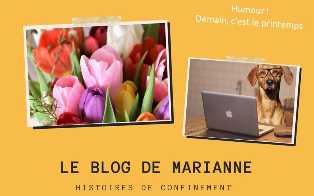 Le Blog de Marianne : une touche d’humour est bienvenue