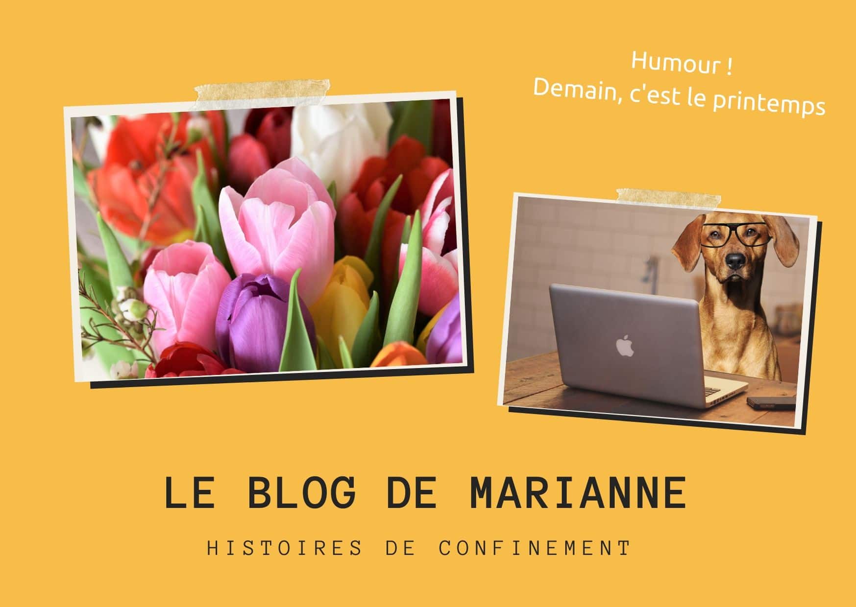Le blog de Marianne
